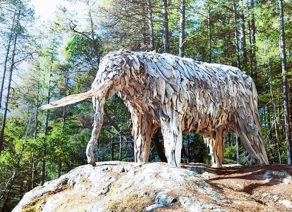 The Mastodon by artist Guthrie Gloag can be found on Bowen Island...If you can