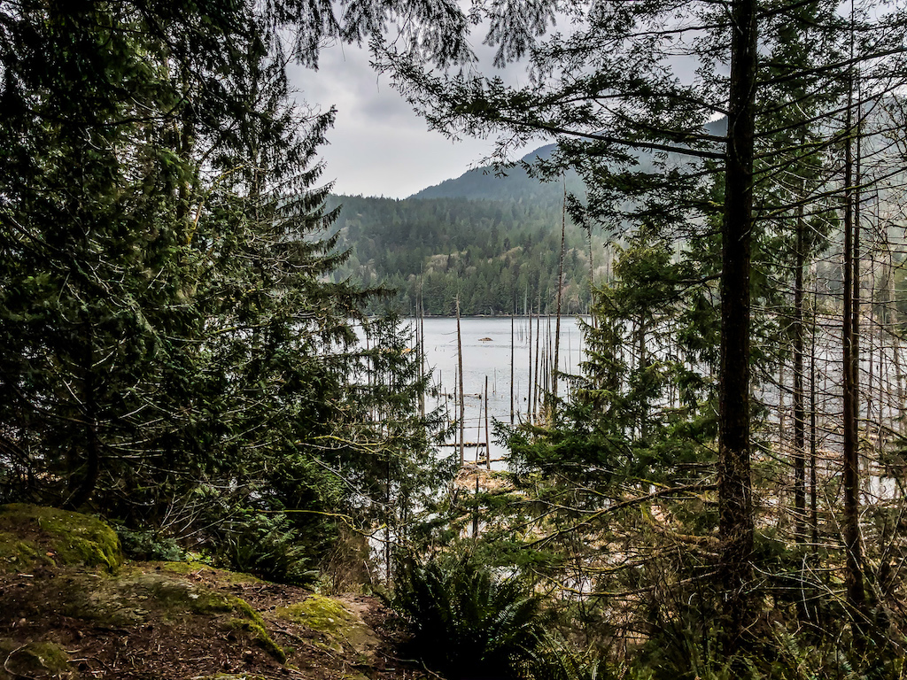 discovering the hiking trails on bowen island